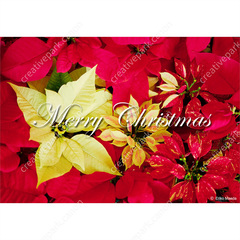 Christmas 0124 - Christmas - Greeting Cards - Card - Canon Creative Park