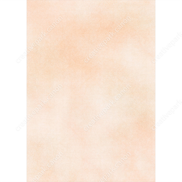 Pattern Paper (Checkered / Pink / Orange) - Pattern Papers - Parts -  Scrapbook - Canon Creative Park