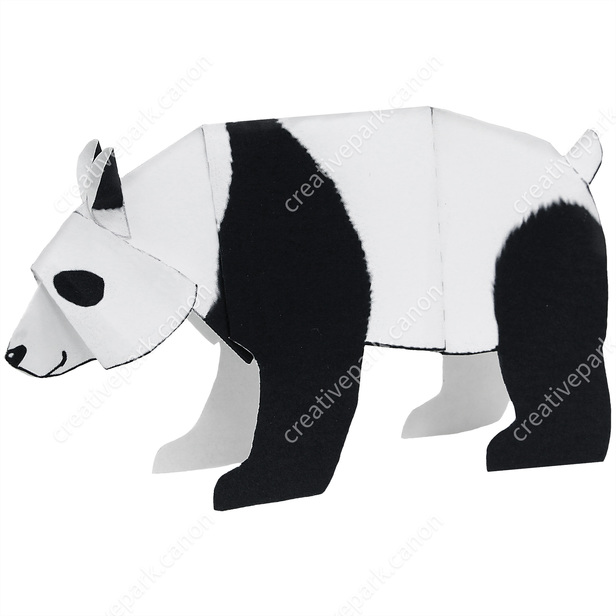 Desenho realista do panda gigante · Creative Fabrica