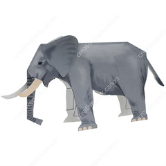 ELEPHANT 2冊 CNT-0009979@2x.jpg