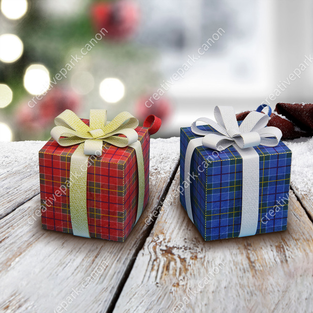 Figuras decorativas (Cajas de regalo) - Navidades - Figuras decorativas/Complementos  - Hogar y vida - Canon Creative Park