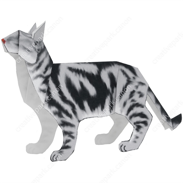 Kucing American Shorthair - Seri Pemula - Hewan - Seni Kertas 