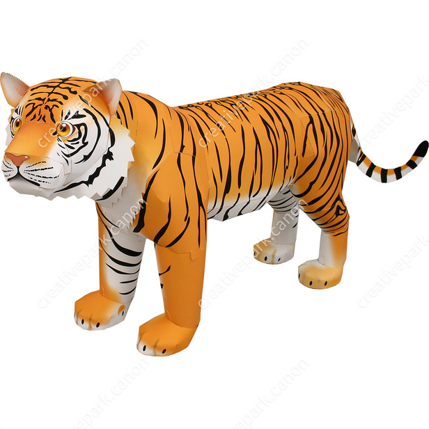 This is a tiger portrait. This menacing tiger have great orange