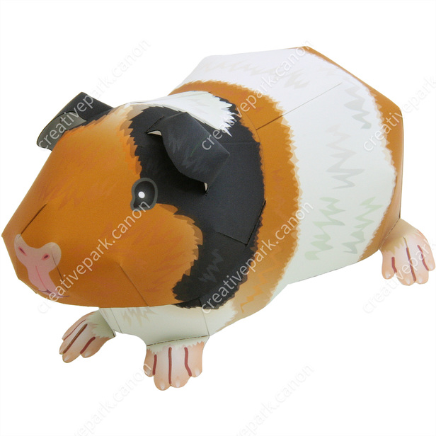 Guinea Pig Pet Series Animals Paper Craft Canon Creative Park