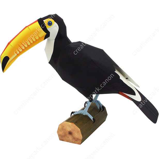 Toco Toucan - Flying Animals - Animals - Paper Craft - Canon Creative Park