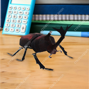 Japanese Beetle,Science,Paper Craft,Nature,null,insect,null,null,Brown,null