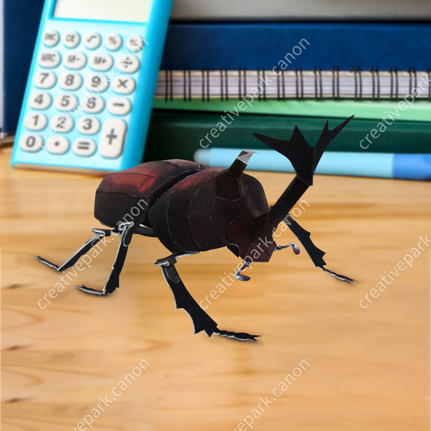 Japanese Beetle - Insects - Science - Paper Craft - Canon Creative