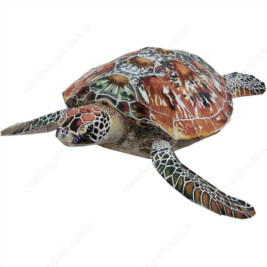 Green Sea Turtle,Animals,Paper Craft,null,Healing,Reptiles,cute,Marine life,null,null,Brown,null