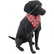 Labrador Retriever (Black) - Land Animals - Animals - Paper Craft ...