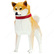 Shiba - Land Animals - Animals - Paper Craft - Canon Creative Park