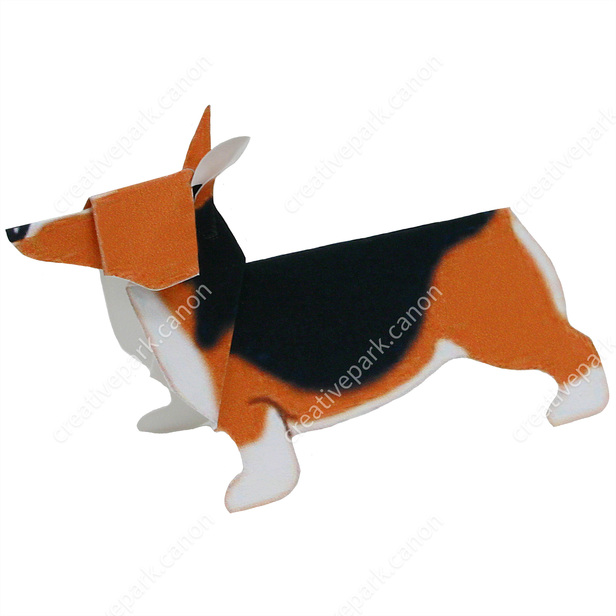 Welsh Corgi Pembroke - Beginner Series - Animals - Paper Craft 