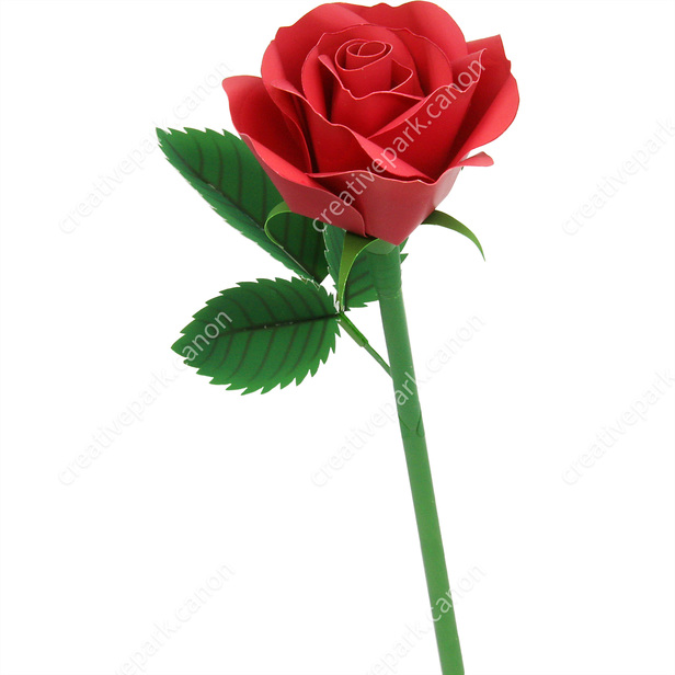 Flower Arrangement (Rose / Red) - Flower arrangement - Plants - Home and  Living - Canon Creative Park