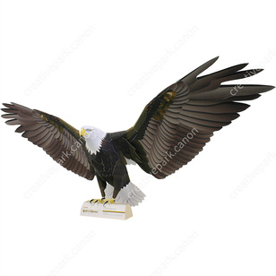 ハクトウワシ,動物,ペーパークラフト,鳥好き,癒し,鳥類,かっこいい,空の生き物,この鳥知ってる？,マットフォト,レベル：一人前,サイズ感:バスケットボール,部屋に飾る,トリ,リアル,ブラック,大人向け,日常