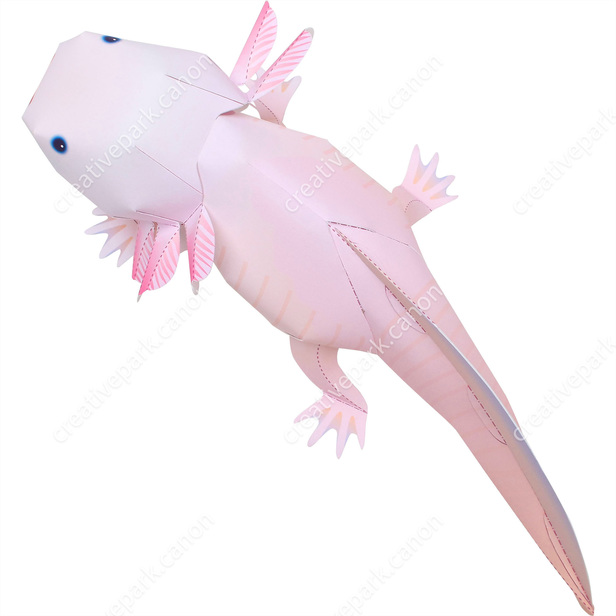 minecraft-axolotl-papercraft-template-we-hope-you-enjoyed-it-and-if