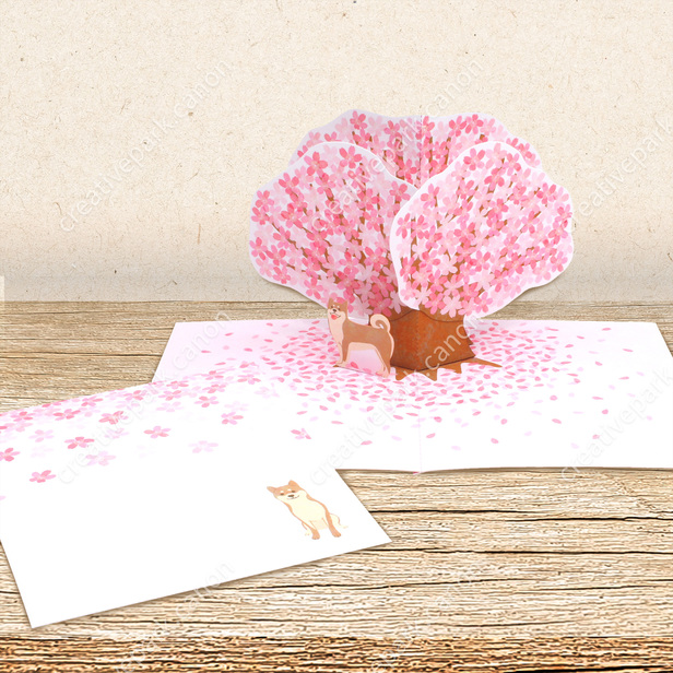 Pop-up Card (Cherry Tree 01) - Flowers - Pop-up Cards - Card - Canon  Creative Park
