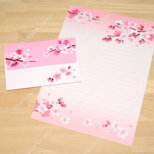 Wow 17 Gambar  Bunga  Sakura  Yang Sederhana Gambar  Bunga  