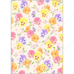 Pattern Papers - Home and Living - Canon Creative Park