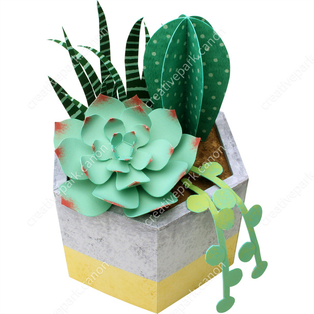 多肉植物の寄せ植え - 観葉植物 - 植物 - ホーム&リビング - Canon