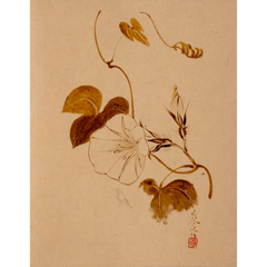 柴田是真　日本画　古心堂 高級 額装　朝妻船　美人画　絵画 扇面画 人物画 柴田是真 日本画 古心堂 高級 額装 朝妻船 美人画 絵画 扇面画 人物
