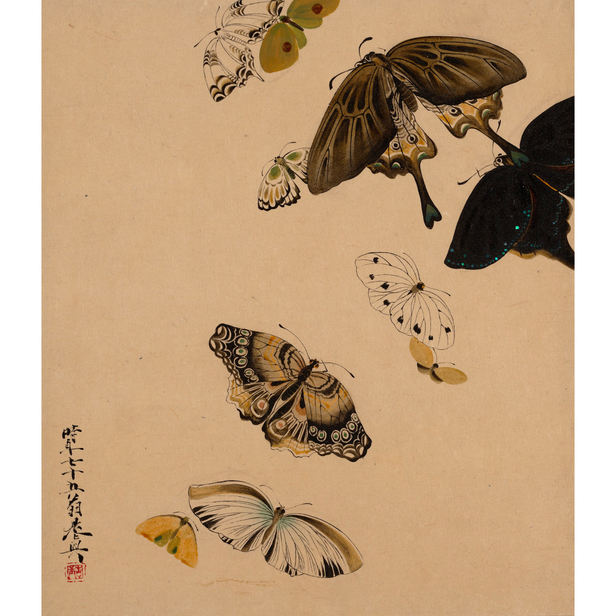 Butterflies - Shibata Zeshin - Japanese Painting - Famous 