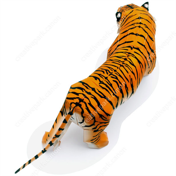 トラ (オス, 立ち) - アジア - リアルクラフト/動物