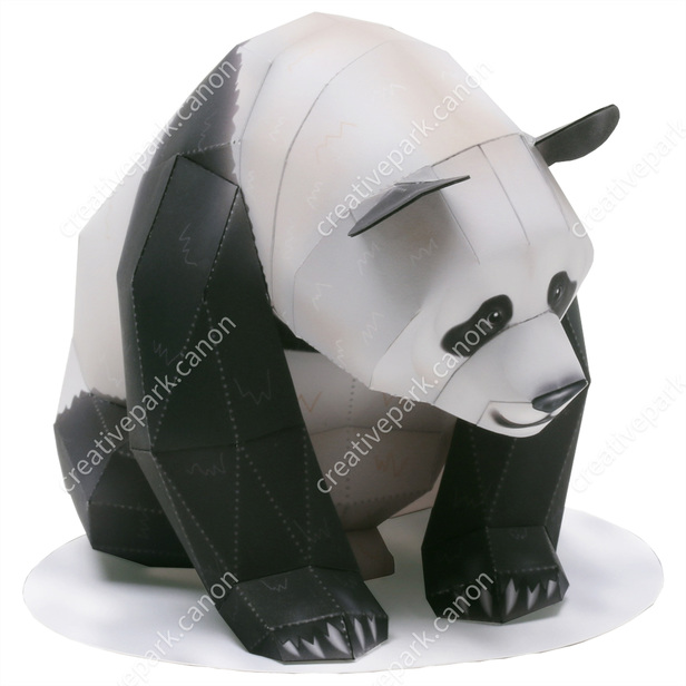 Desenho realista do panda gigante · Creative Fabrica