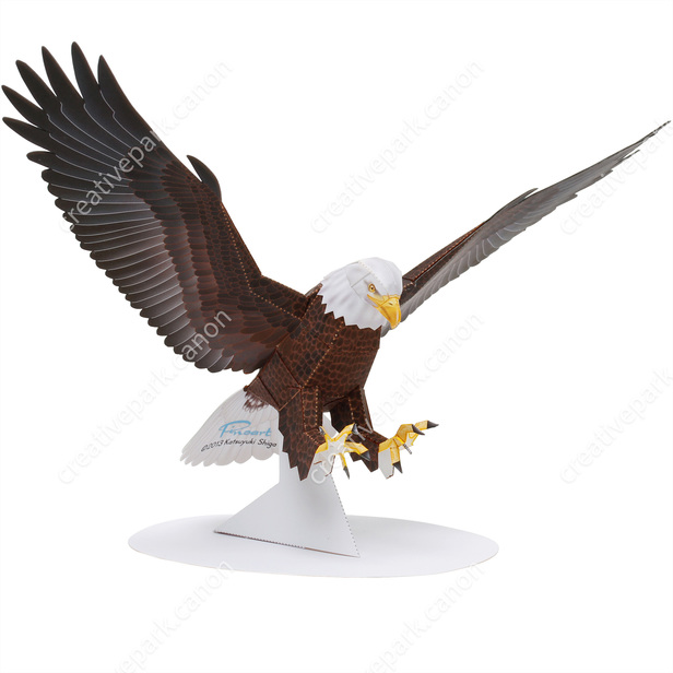Águila de cabeza blanca (Macho, Batiendo las alas) - América - Artesanía  realista/Animales - Arte de papel - Canon Creative Park