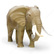 Elephant (Male, Walking) - Africa - Realistic Crafts/Animals - Paper ...