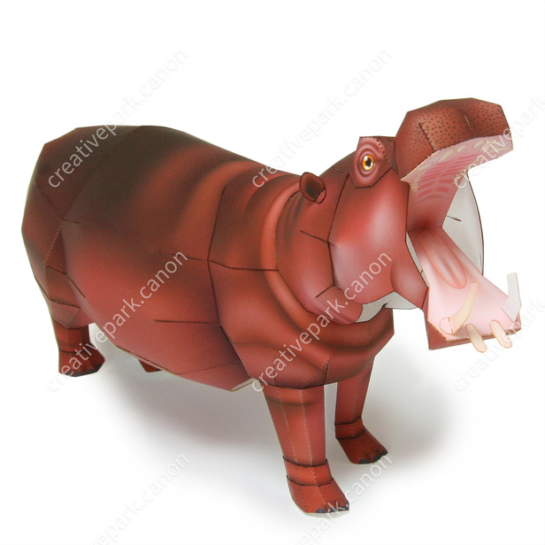 カバ　動物ペン画No.18 ペーパークラフト アニマルレーサー カバ | Q-CAP STORE