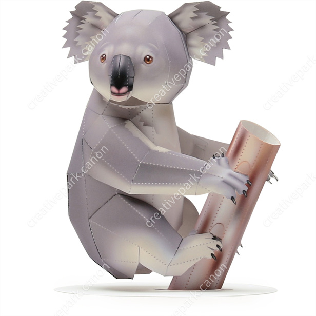 Koala (Mâle, S'asseoir) - Arctique et Antarctique / Zone Pacifique -  Artisanat réaliste/Animaux - Créations en papier - Canon Creative Park