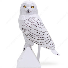 Snowy Owl (Male, Standing) - Arctic and Antarctic / Pacific