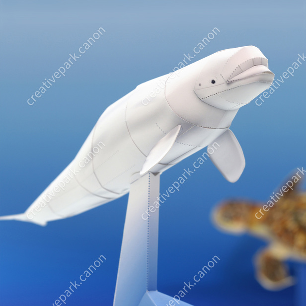 シロイルカ 海の動物 リアルクラフト 動物 ペーパークラフト Canon Creative Park