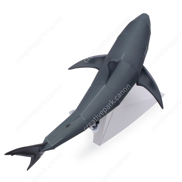 ホホジロザメ 海の動物 リアルクラフト 動物 ペーパークラフト Canon Creative Park