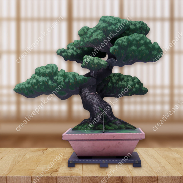 盆栽クラフト 五葉松 - 観葉植物 - 植物 - ホーム&リビング