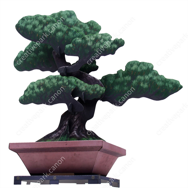 盆栽クラフト 五葉松 - 観葉植物 - 植物 - ホーム&リビング - Canon