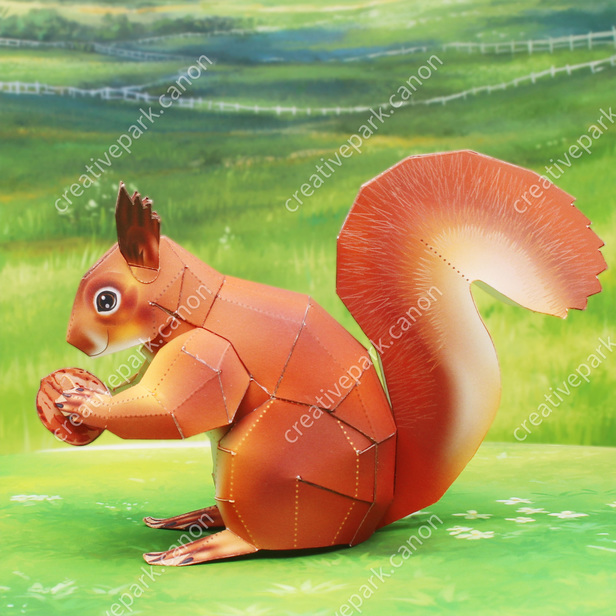 American Red Squirrel - Land Animals - Animals - Paper Craft - Canon  Creative Park