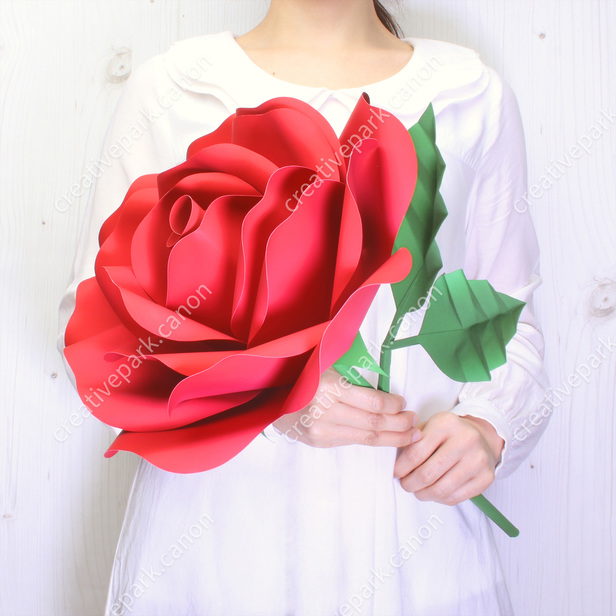 Fiore gigante (Rosa) - Altri - Piante - Casa e decorazioni - Canon