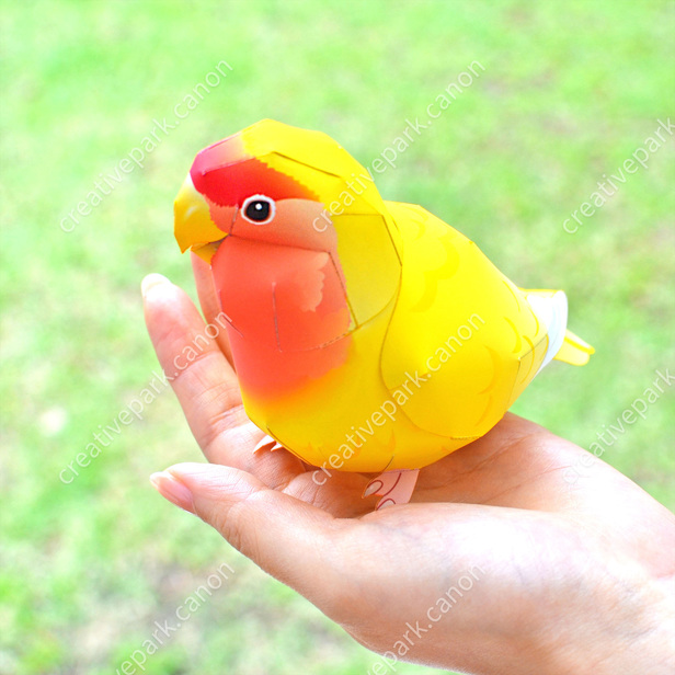 コザクラインコ ルチノー かわいい動物シリーズ 動物 ペーパークラフト Canon Creative Park