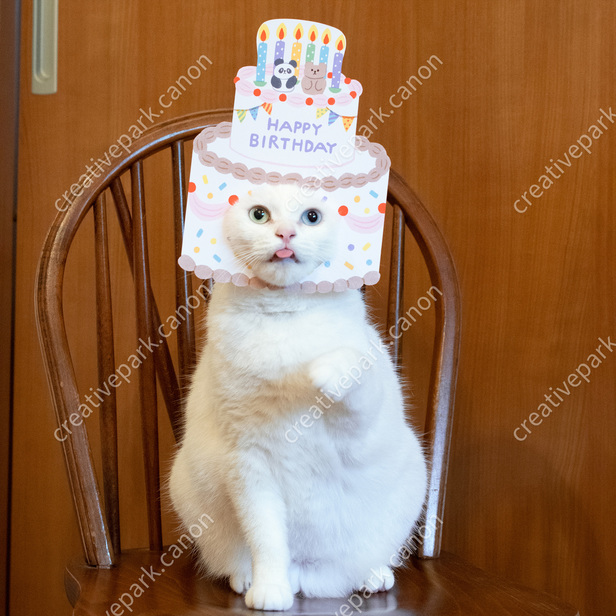 Máscara para gatos (Tarta de cumpleaños) - Disfraces - Eventos - Arte de  papel - Canon Creative Park