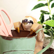 Sloth - Pet Series - Animals - Paper Craft - Canon Creative Park