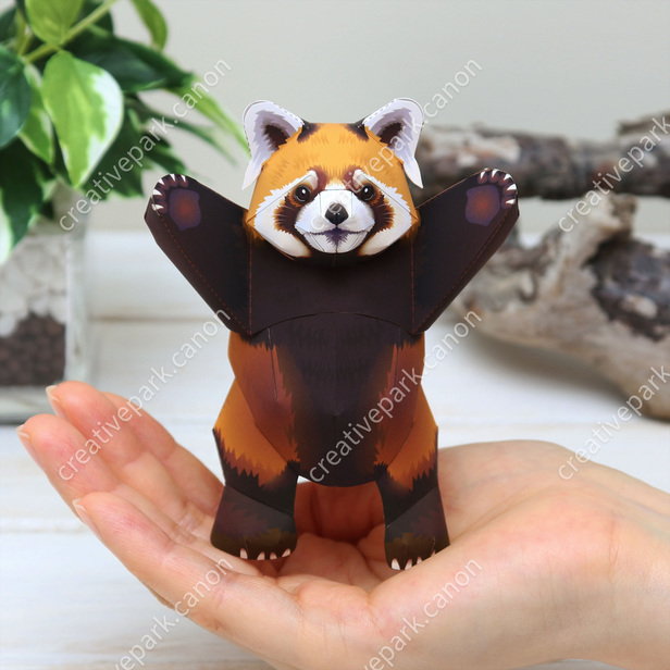 Red Panda - Pet Series - Animals - Paper Craft - Canon Creative Park