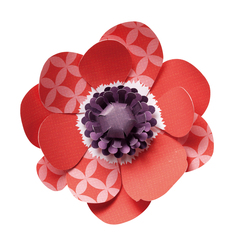 アネモネページ FEATURE | ANEMONE -アネモネ- オフィシャルサイト