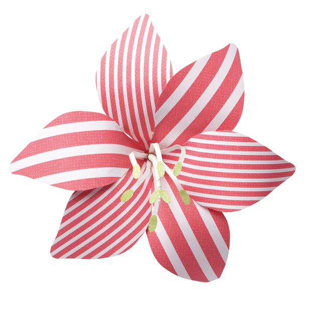 白地 花シリーズ アマリリス フラワー 企業 団体コラボ ペーパークラフト Canon Creative Park