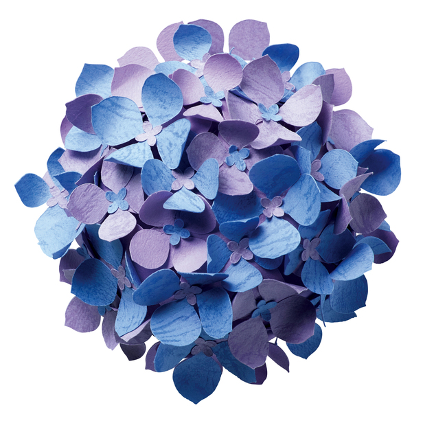 日本の花シリーズ 紫陽花（あじさい） - フラワー - 企業・団体コラボ 