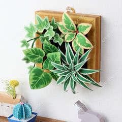観葉植物の寄せ植え（壁掛け） - 観葉植物 - 植物 - ホーム