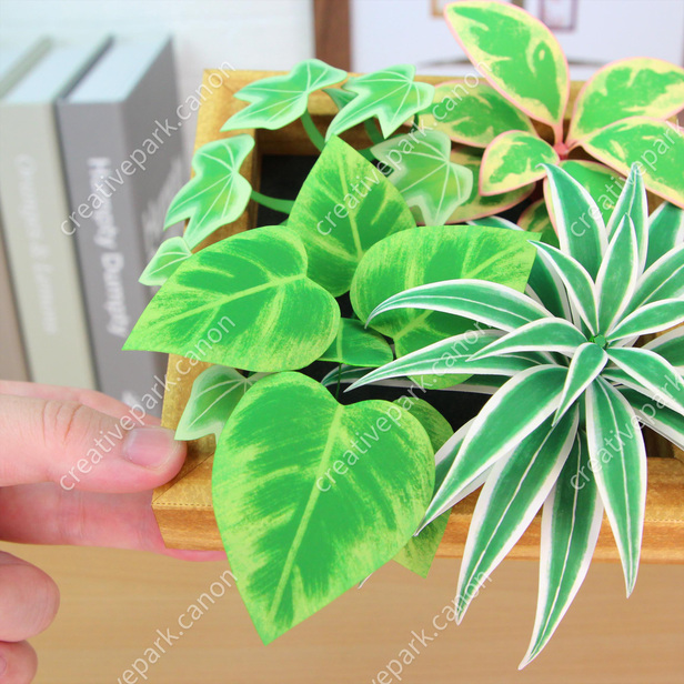 観葉植物の寄せ植え 壁掛け 観葉植物 植物 ホーム リビング Canon Creative Park