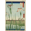 よく見る「芸能人が愛用 日本画菖蒲(曙光) 絵画 - 絵画