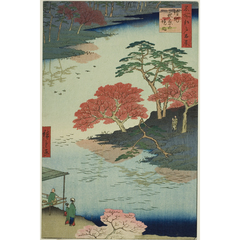 CNT-0029962@2x.jpg