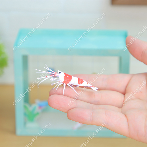 ネオンテトラ（淡水魚） - 水族館シリーズ - 動物 - ペーパークラフト
