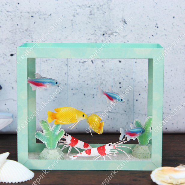 Paper top fish tank